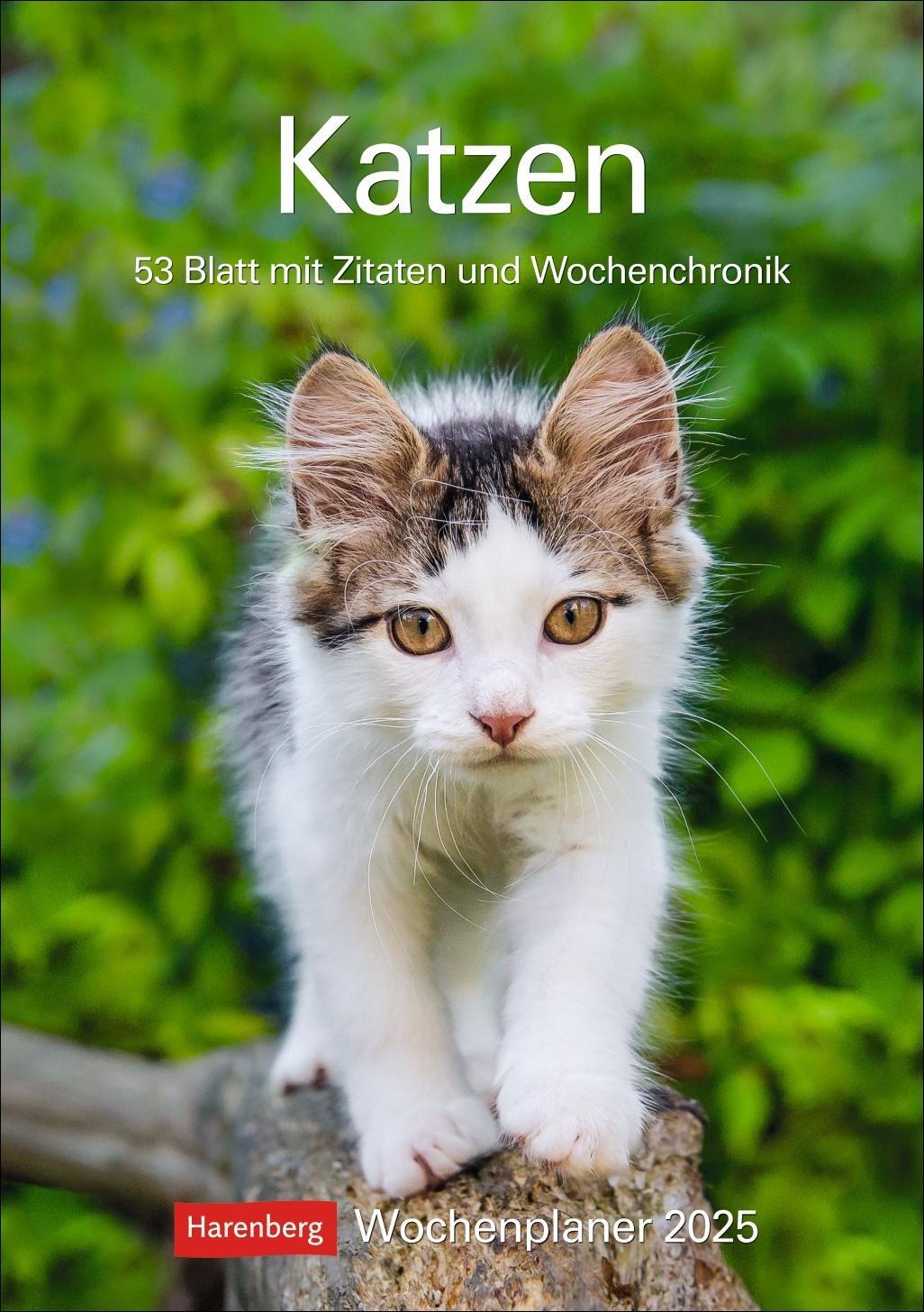 Cover: 9783840033995 | Katzen Wochenplaner 2025 - 53 Blatt mit Zitaten und Wochenchronik