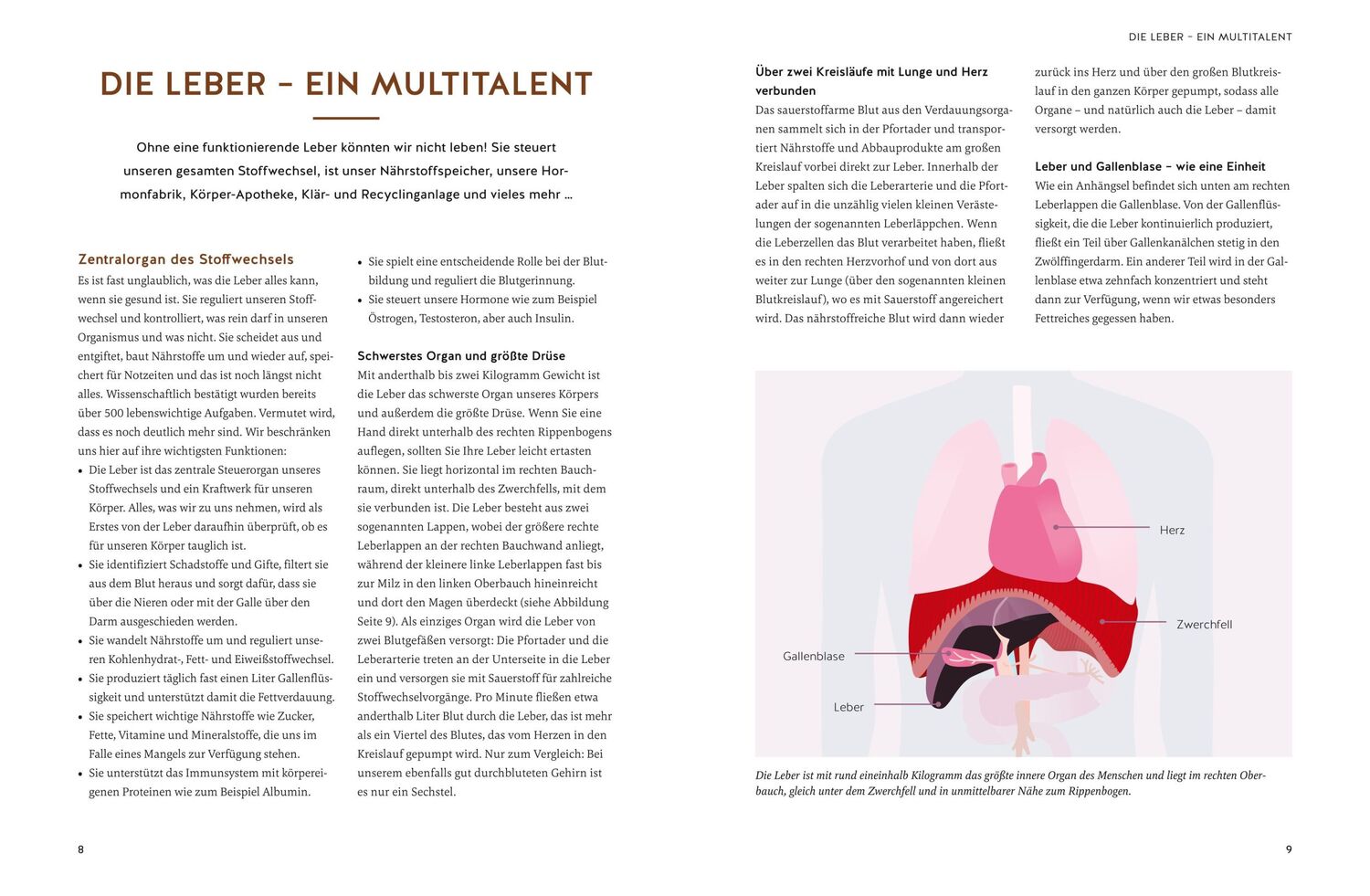 Bild: 9783833890925 | Die revolutionäre 9-Tage-Leber-Kur | Kurt Mosetter (u. a.) | Buch