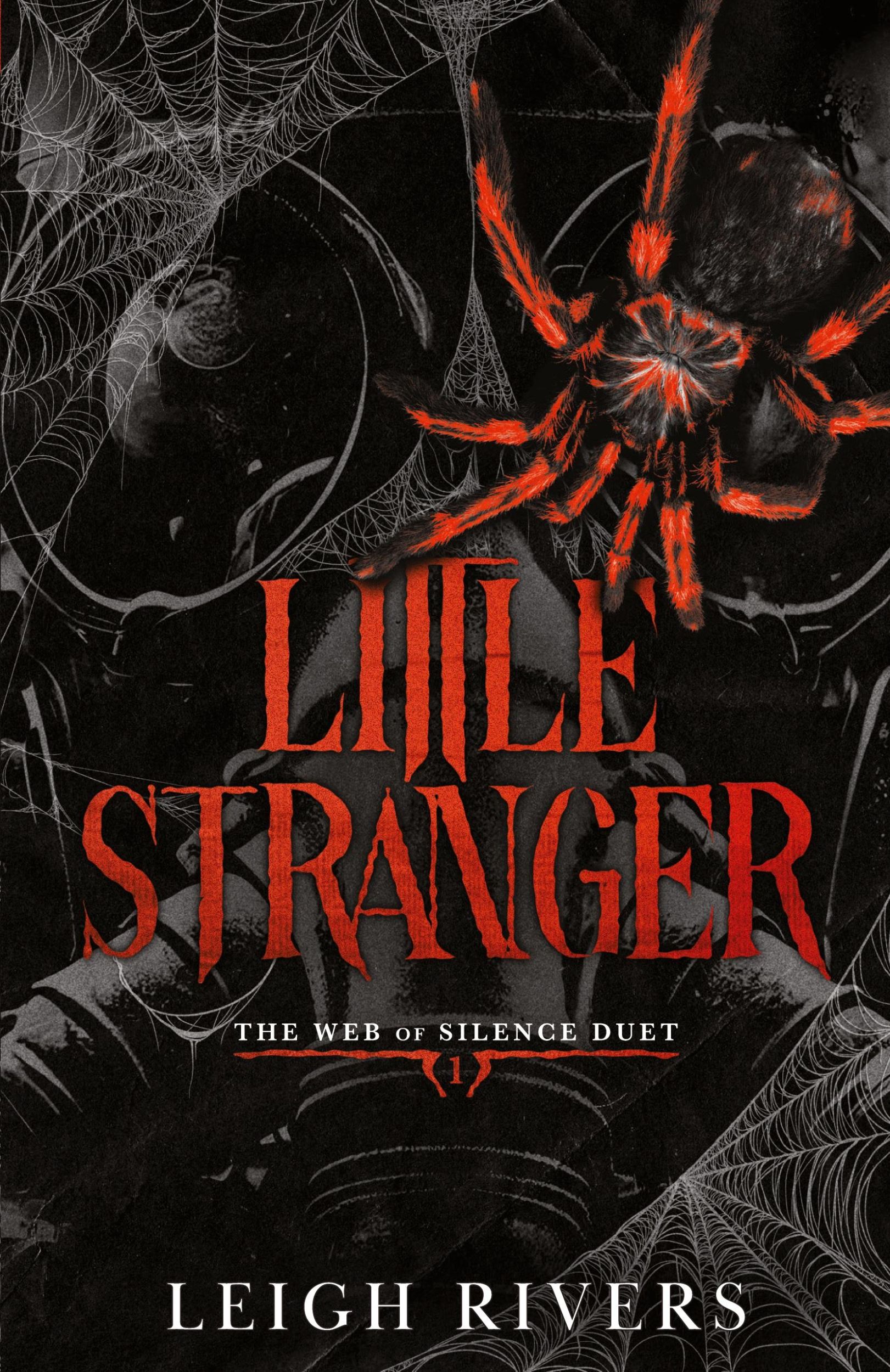 Cover: 9781739433062 | Little Stranger | A Dark Taboo Romance | Leigh Rivers | Taschenbuch