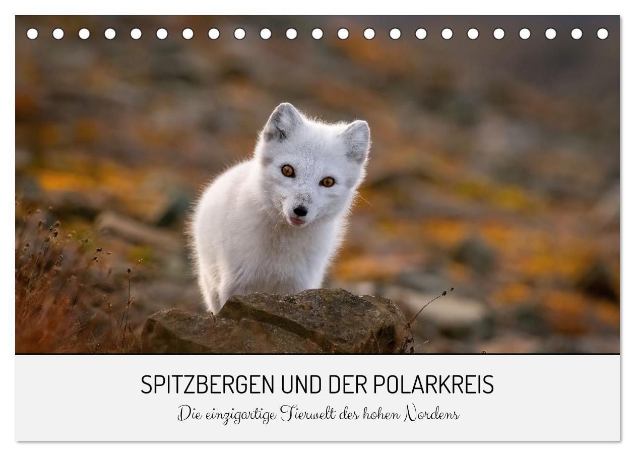 Cover: 9783675908796 | Spitzbergen und der Polarkreis (Tischkalender 2024 DIN A5 quer),...