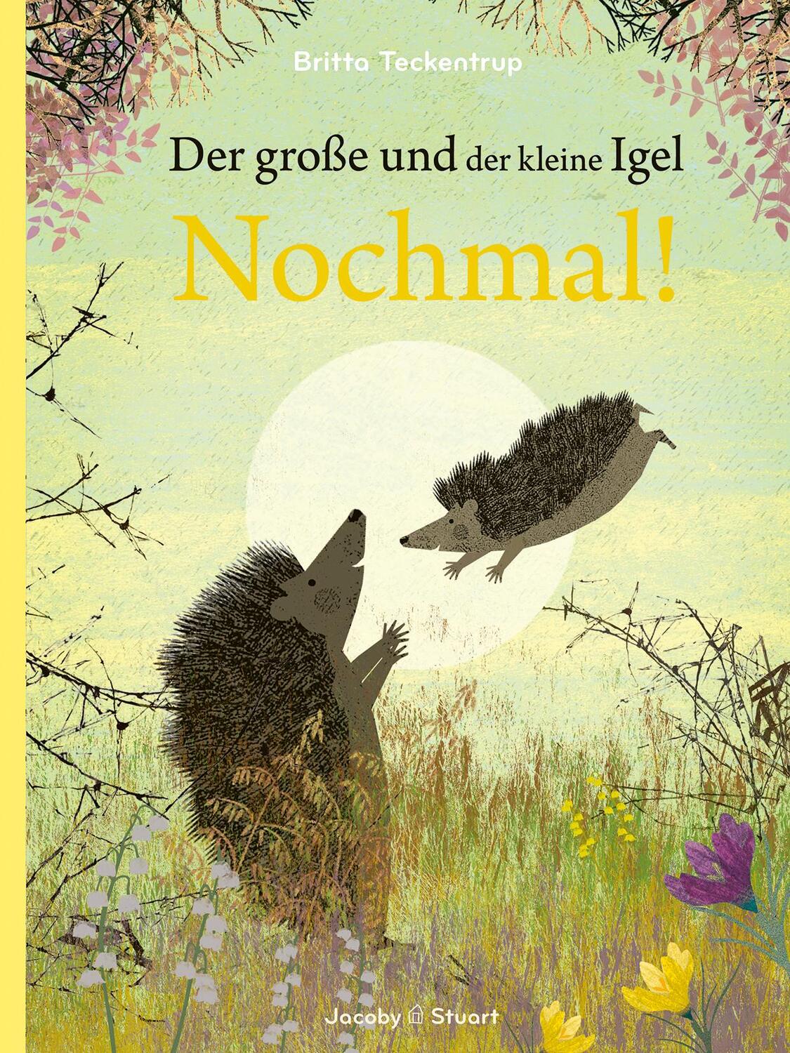 Cover: 9783964281791 | Der große und der kleine Igel / Nochmal! | Britta Teckentrup | Buch