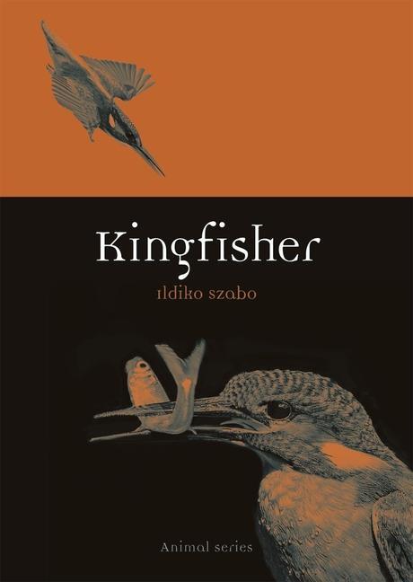 Cover: 9781789141399 | Kingfisher | Ildiko Szabo | Taschenbuch | Animal | Englisch | 2019