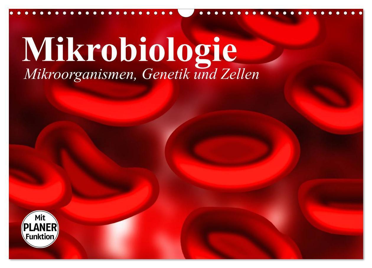 Cover: 9783383268052 | Mikrobiologie. Mikroorganismen, Genetik und Zellen (Wandkalender...