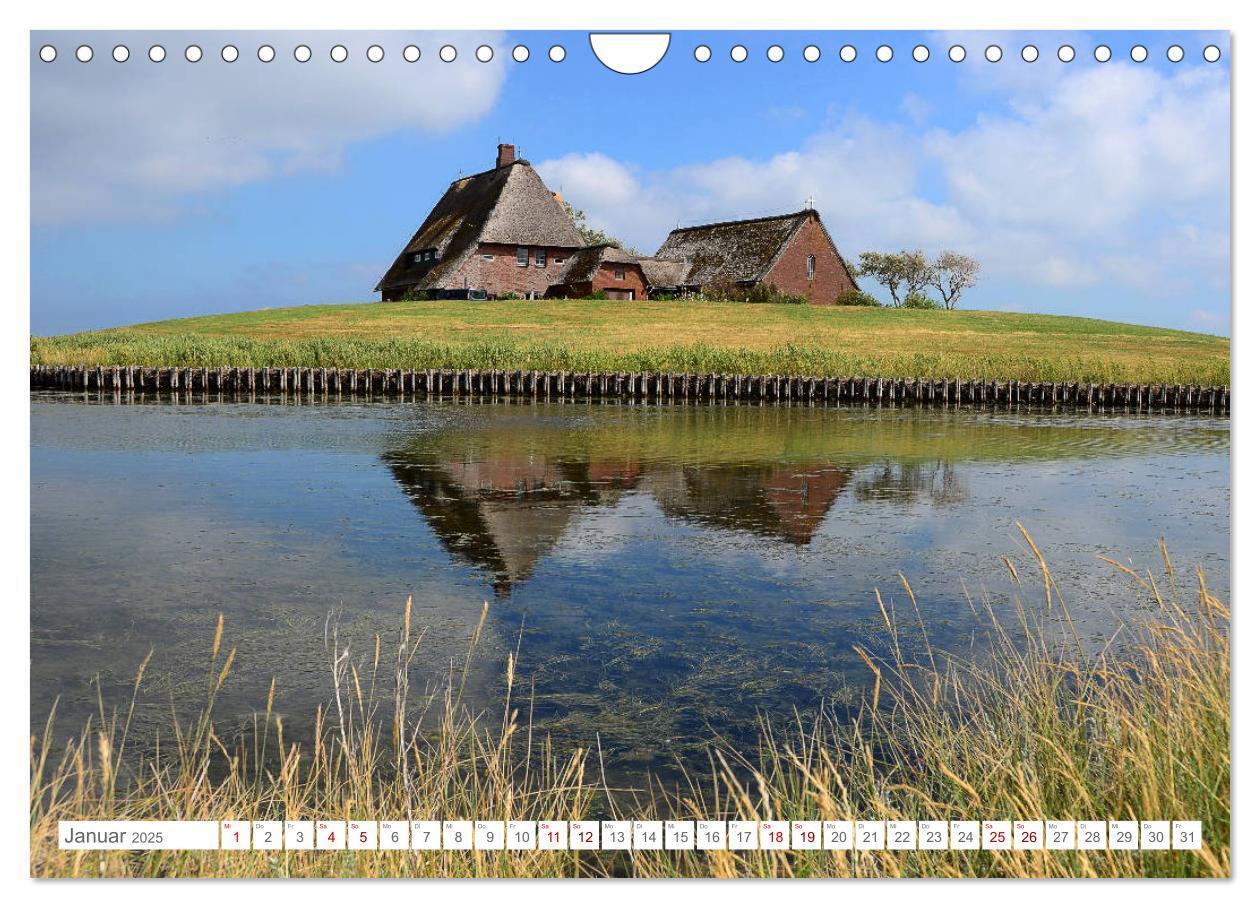 Bild: 9783435257249 | Sommertage auf Hallig Hooge (Wandkalender 2025 DIN A4 quer),...