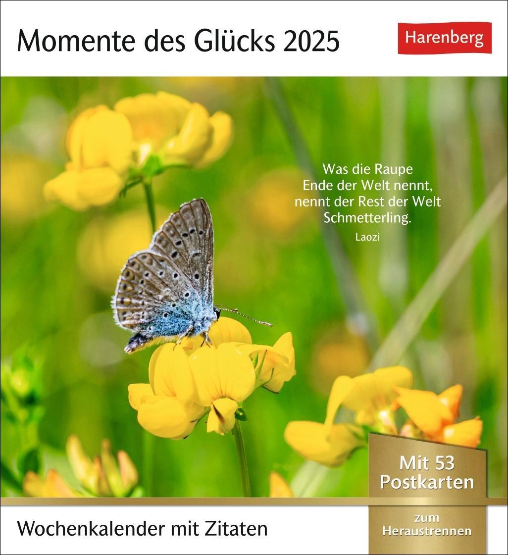 Cover: 9783840033834 | Momente des Glücks Postkartenkalender 2025 - Wochenkalender mit...