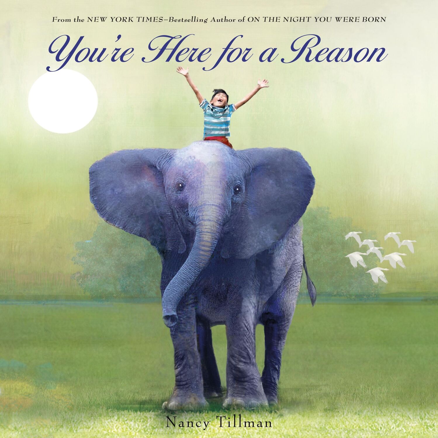 Cover: 9781250106506 | You're Here for a Reason | Nancy Tillman | Buch | Papp-Bilderbuch