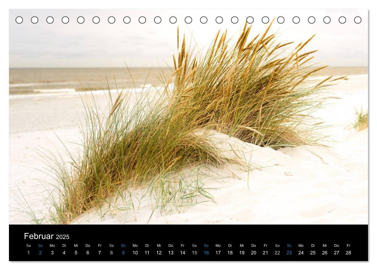 Bild: 9783435474202 | Grüße aus Texel (Tischkalender 2025 DIN A5 quer), CALVENDO...