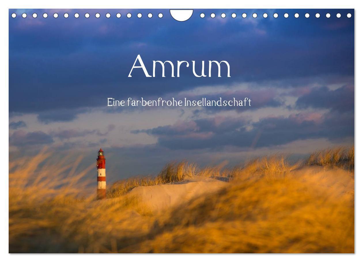 Cover: 9783675584280 | Amrum - Eine farbenfrohe Insellandschaft (Wandkalender 2024 DIN A4...