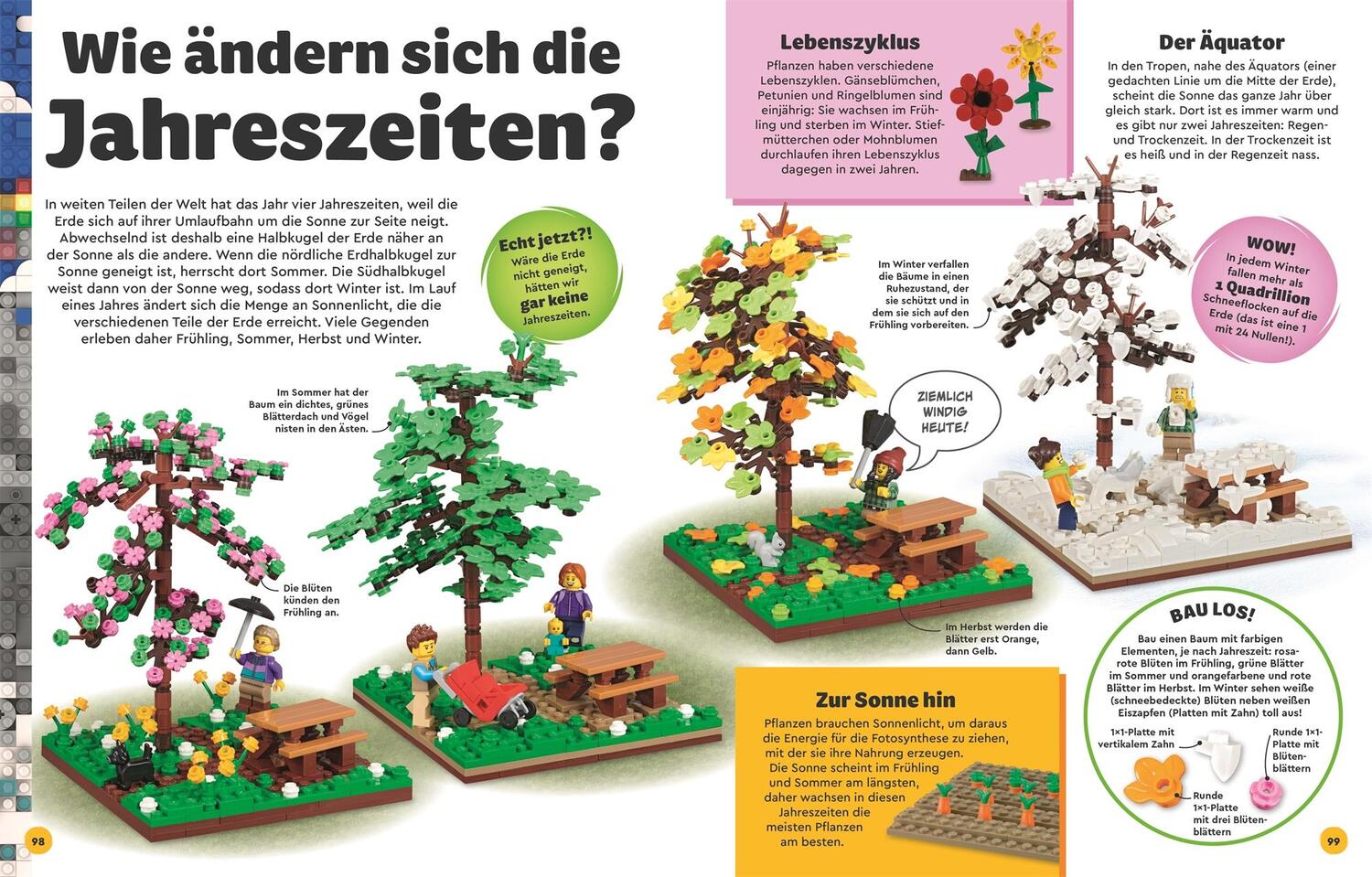 Bild: 9783831048083 | LEGO® Entdecke die Erde | Jennifer Swanson | Buch | 144 S. | Deutsch