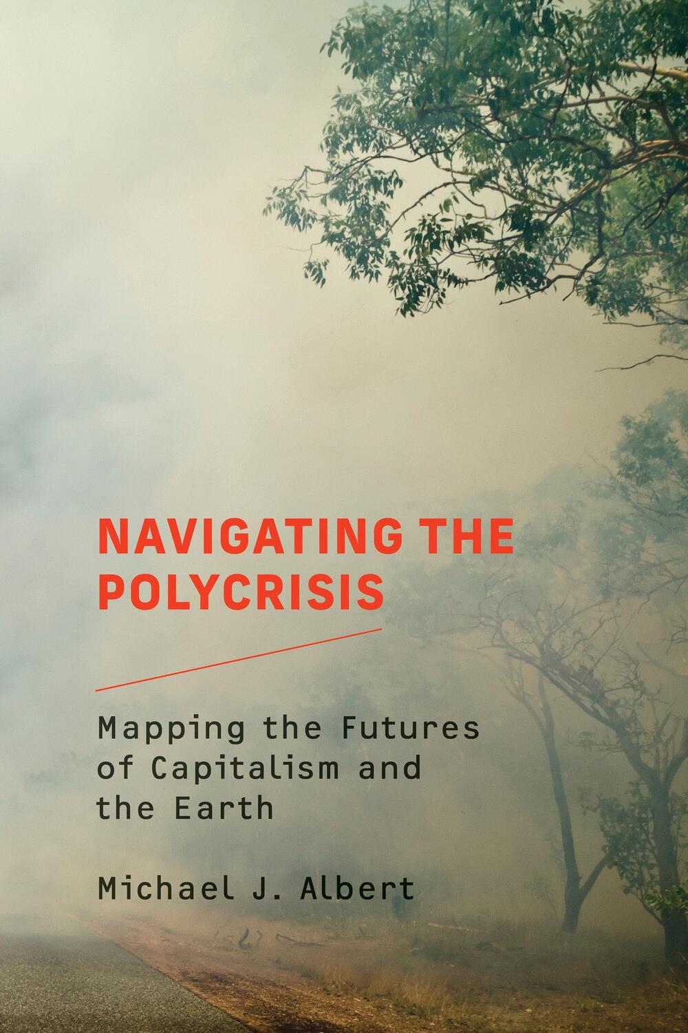 Cover: 9780262547758 | Navigating the Polycrisis | Michael J. Albert | Taschenbuch | Englisch