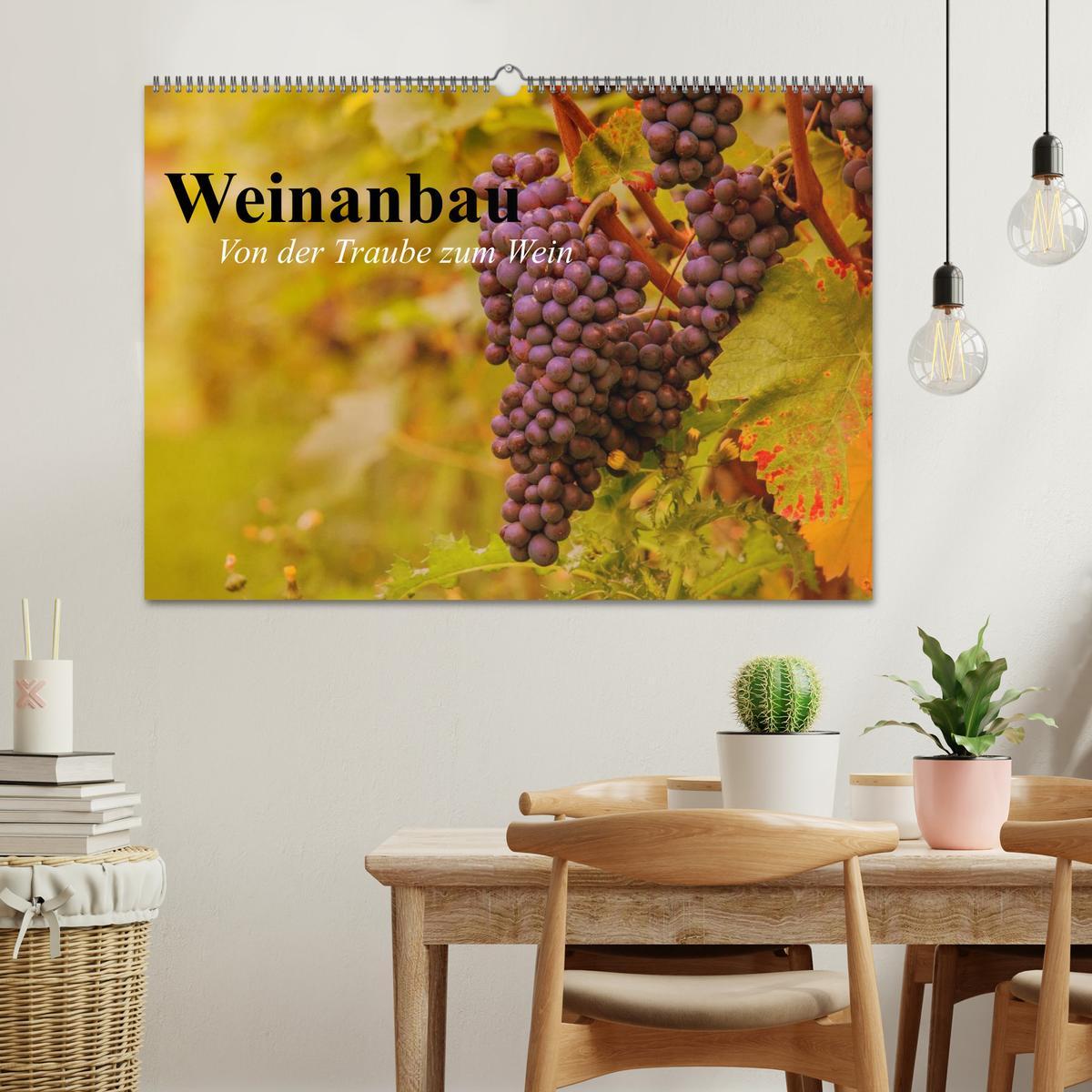 Bild: 9783435513178 | Weinanbau. Von der Traube zum Wein (Wandkalender 2025 DIN A2 quer),...