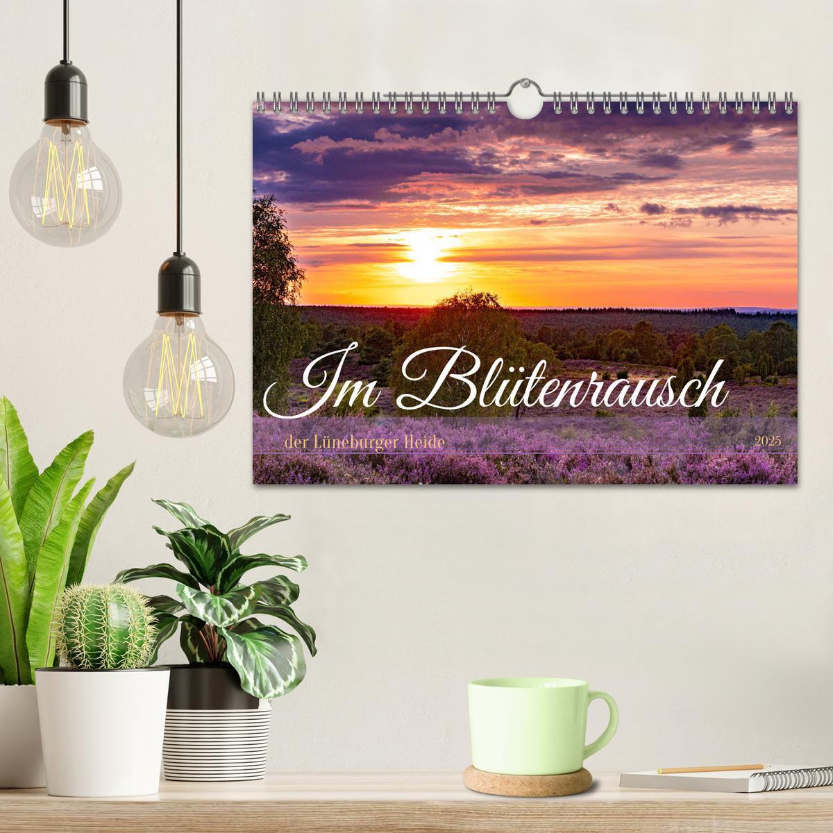 Bild: 9783383831249 | Im Blütenrausch der Lüneburger Heide (Wandkalender 2025 DIN A4...