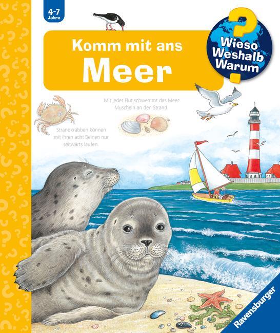 Cover: 9783473328765 | Wieso? Weshalb? Warum?, Band 17: Komm mit ans Meer | Angela Weinhold