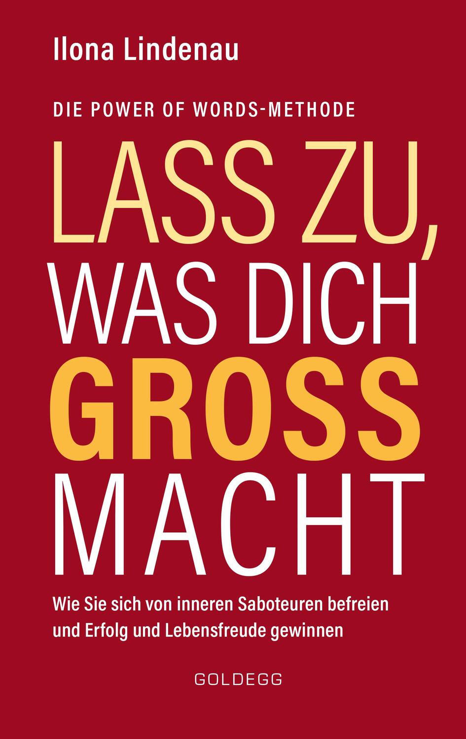 Cover: 9783990601310 | Lass zu, was dich groß macht | Ilona Lindenau | Buch | Deutsch | 2019