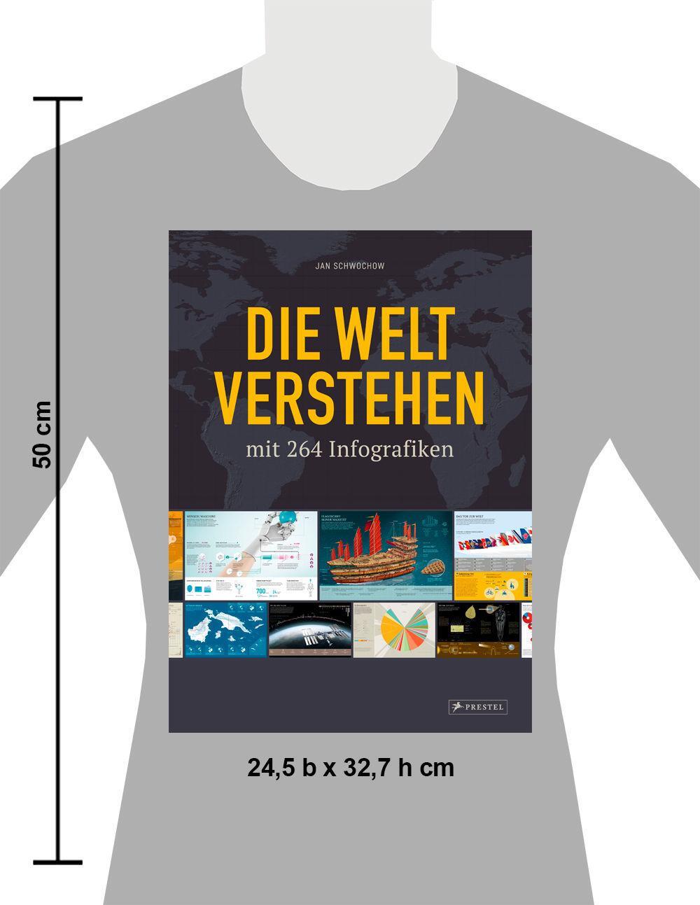 Bild: 9783791387109 | Die Welt verstehen mit 264 Infografiken | Jan Schwochow | Buch | 2020