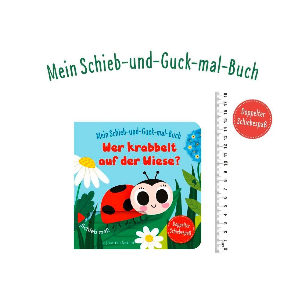 Bild: 9783737358170 | Mein Schieb &amp; Guck-mal-Buch: Wer krabbelt auf der Wiese? | Menge