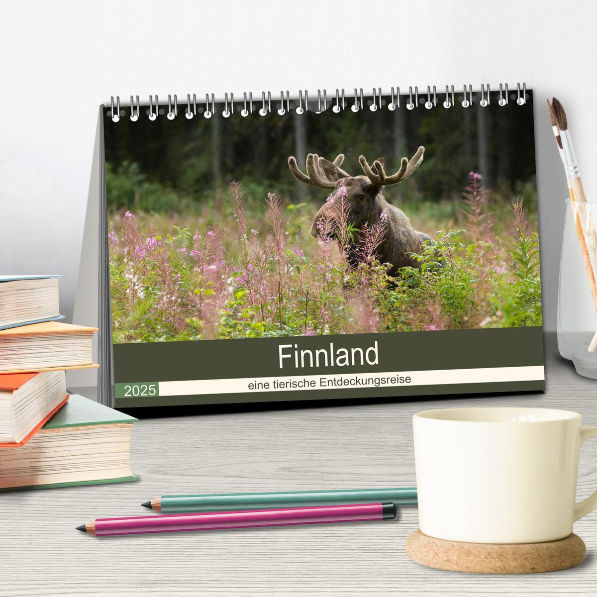 Bild: 9783435353507 | Finnland: eine tierische Entdeckungsreise (Tischkalender 2025 DIN...