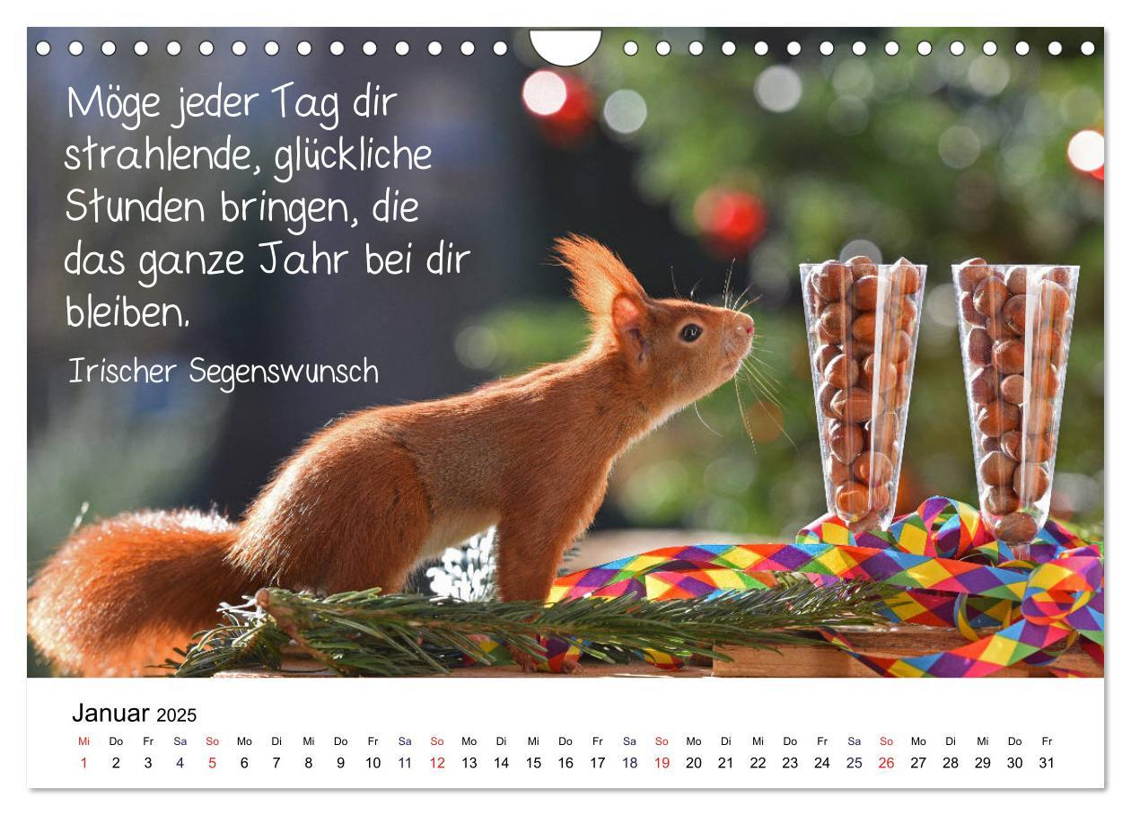 Bild: 9783435434244 | Der literarische Eichhörnchen-Kalender (Wandkalender 2025 DIN A4...