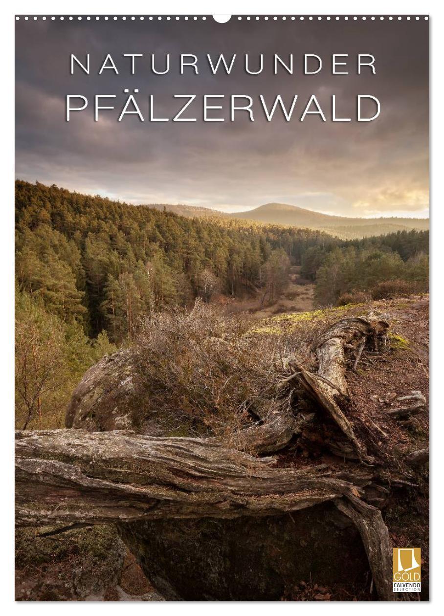 Cover: 9783383386572 | NATURWUNDER PFÄLZERWALD (Wandkalender 2024 DIN A2 hoch), CALVENDO...