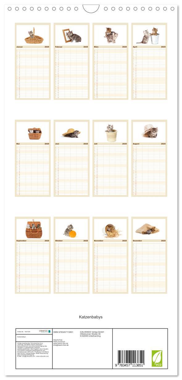 Bild: 9783457113851 | Familienplaner 2025 - Katzenbabys mit 5 Spalten (Wandkalender, 21 x...