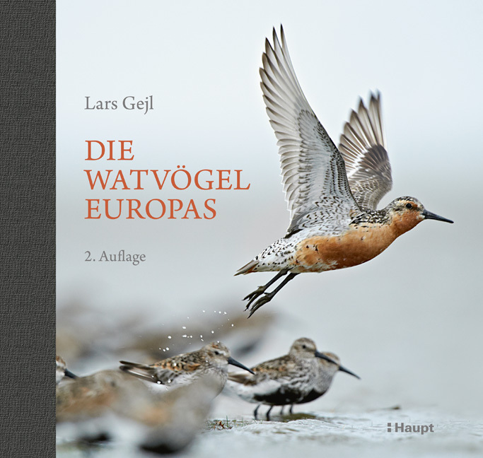 Cover: 9783258081519 | Die Watvögel Europas | Lars Gejl | Buch | Halbleinen | 371 S. | 2019