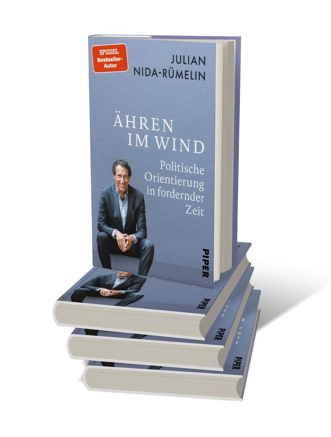 Bild: 9783492072939 | Ähren im Wind | Politische Orientierung in fordernder Zeit | Buch