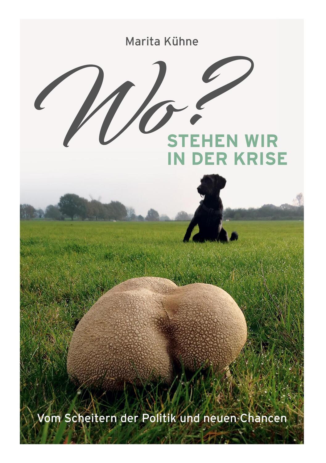 Cover: 9783753417103 | Wo? stehen wir in der Krise | Marita Kühne | Buch | Books on Demand