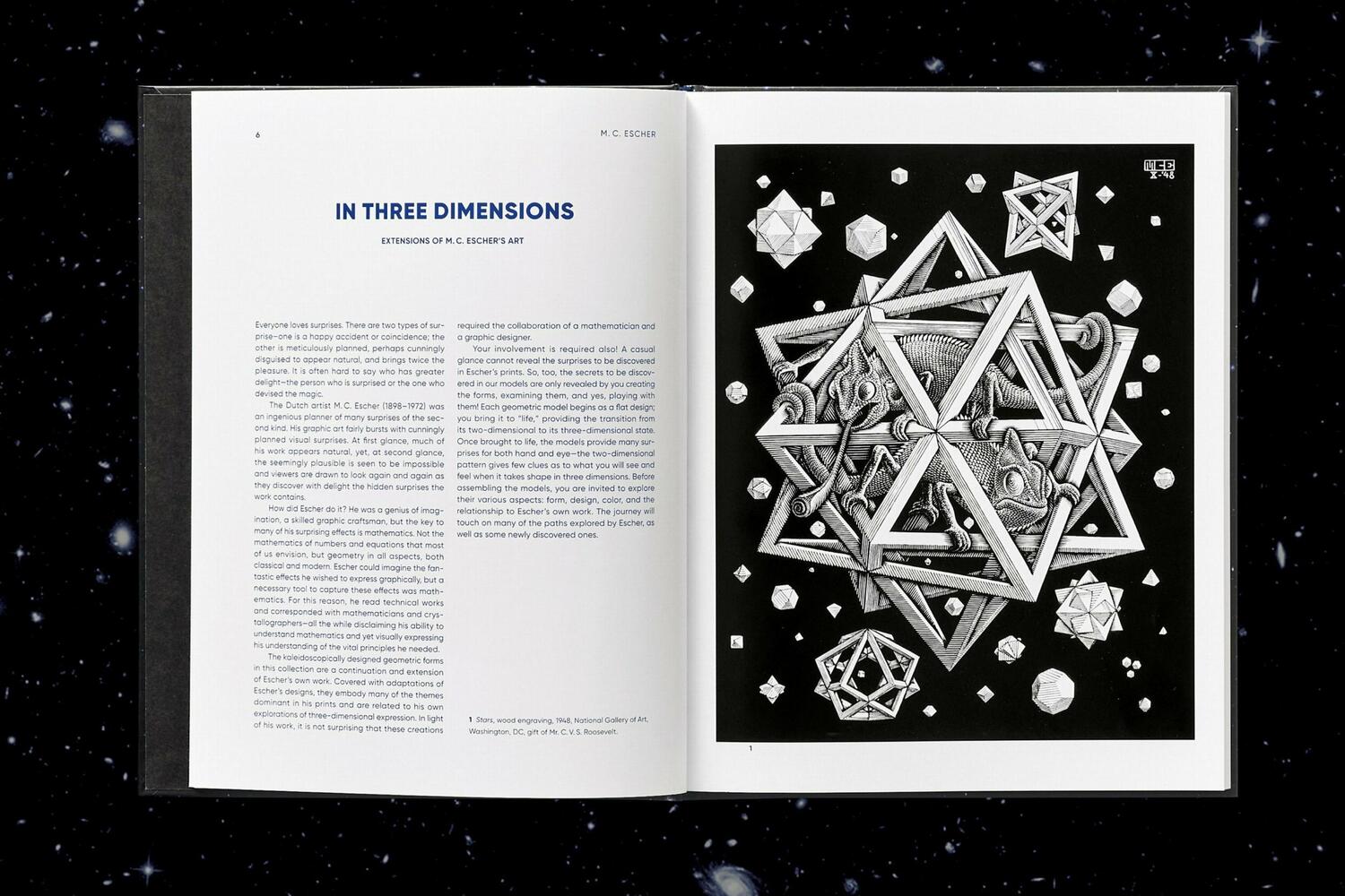 Bild: 9783836583688 | M.C. Escher. Kaleidozyklen | Doris Schattschneider (u. a.) | Buch