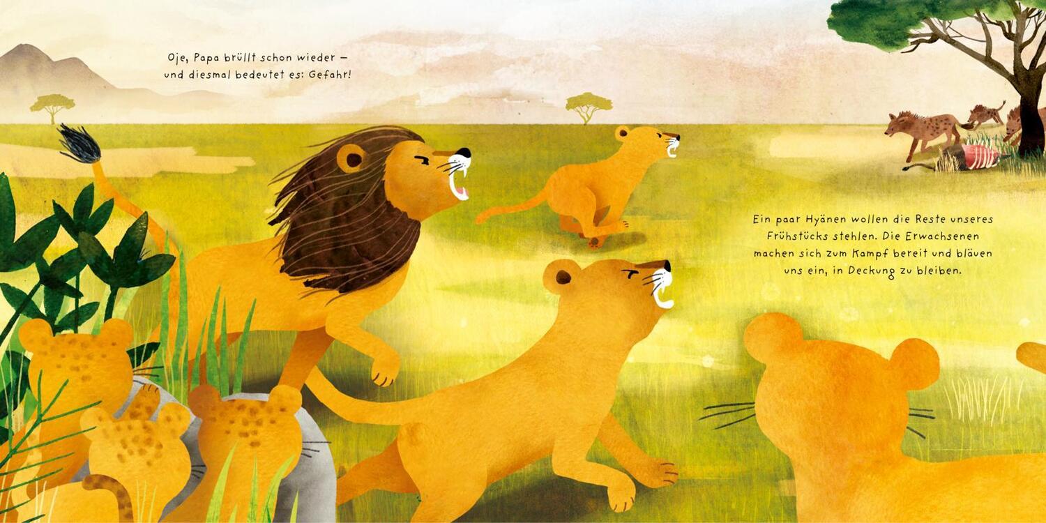 Bild: 9783551254986 | Kleine Tiere werden groß - Der Löwe | Anna Brett | Buch | 48 S. | 2023