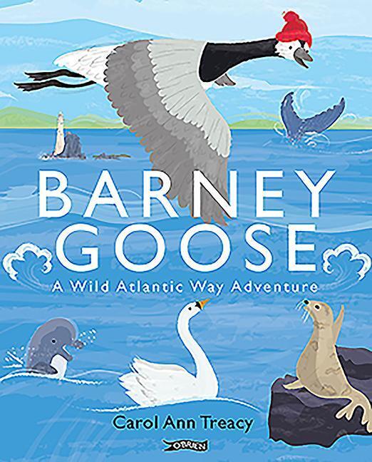 Cover: 9781788491426 | Barney Goose | A Wild Atlantic Way Adventure | Carol Ann Treacy | Buch