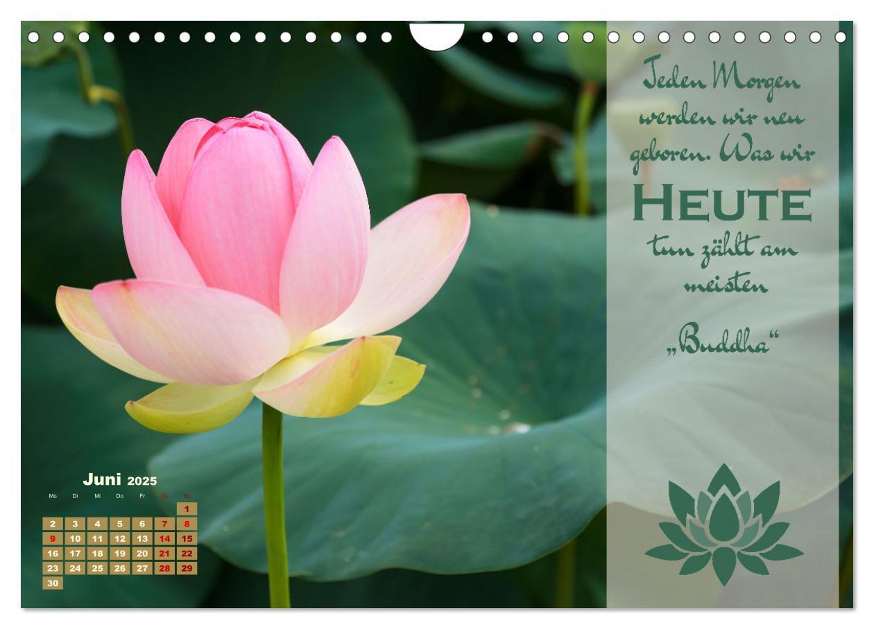 Bild: 9783383933424 | Erleuchtende Worte, Lebensweisheiten von Gautama Buddha by VogtArt...