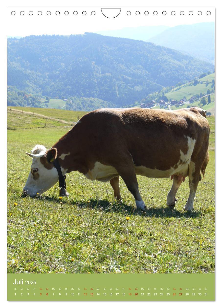 Bild: 9783457027752 | Schwarzwald und Kühe im Hochformat (Wandkalender 2025 DIN A4 hoch),...