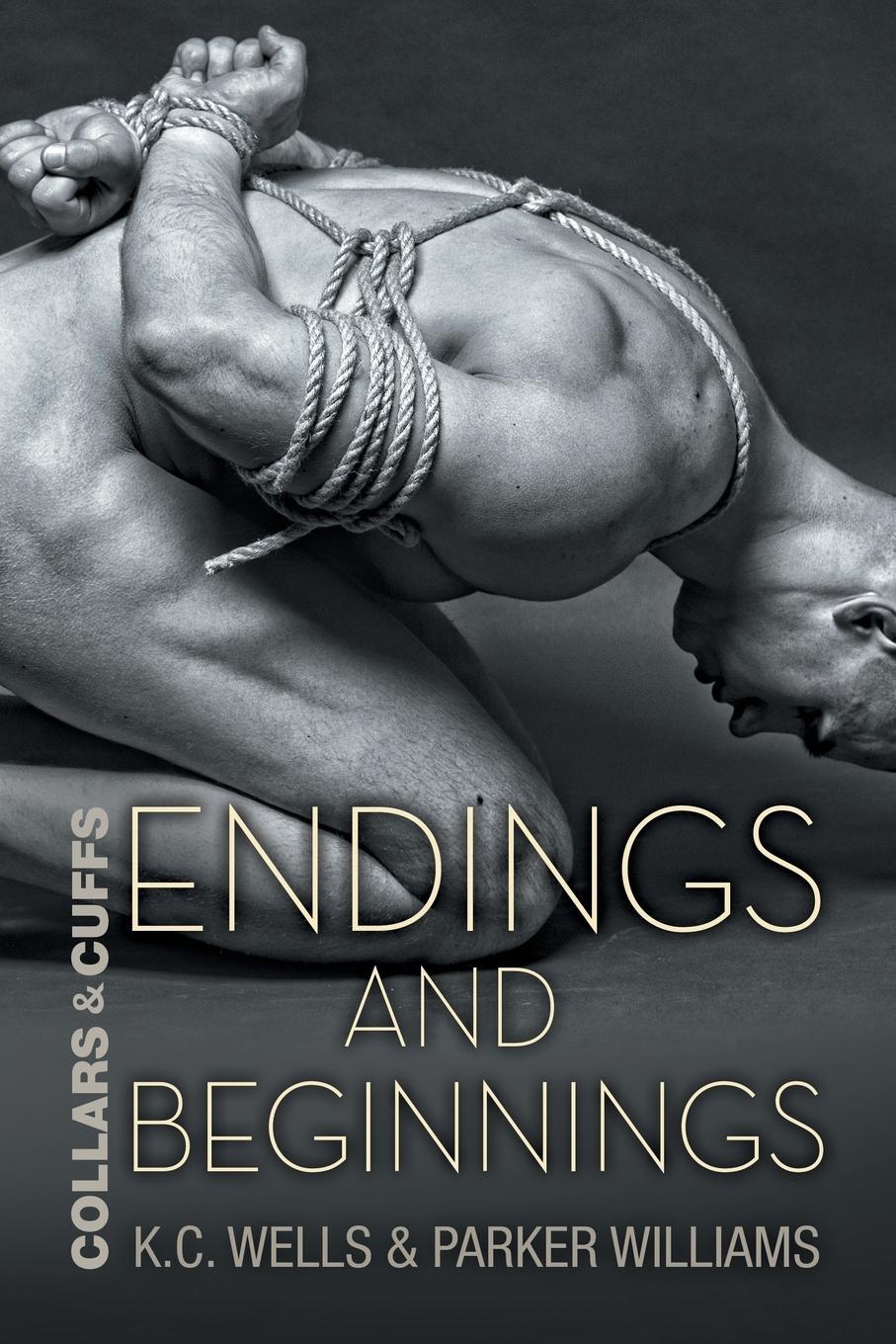 Cover: 9781634774079 | Endings and Beginnings | K. C. Wells (u. a.) | Taschenbuch | Paperback