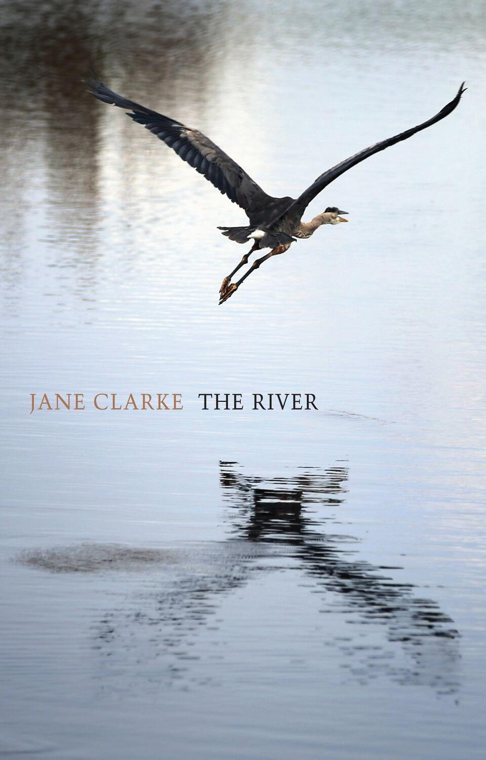 Cover: 9781780372532 | The River | Jane Clarke | Taschenbuch | Englisch | 2015