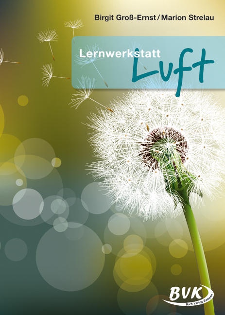 Cover: 9783867404150 | Lernwerkstatt Luft | ab 2. Klasse | Birgit Groß-Ernst (u. a.) | 48 S.