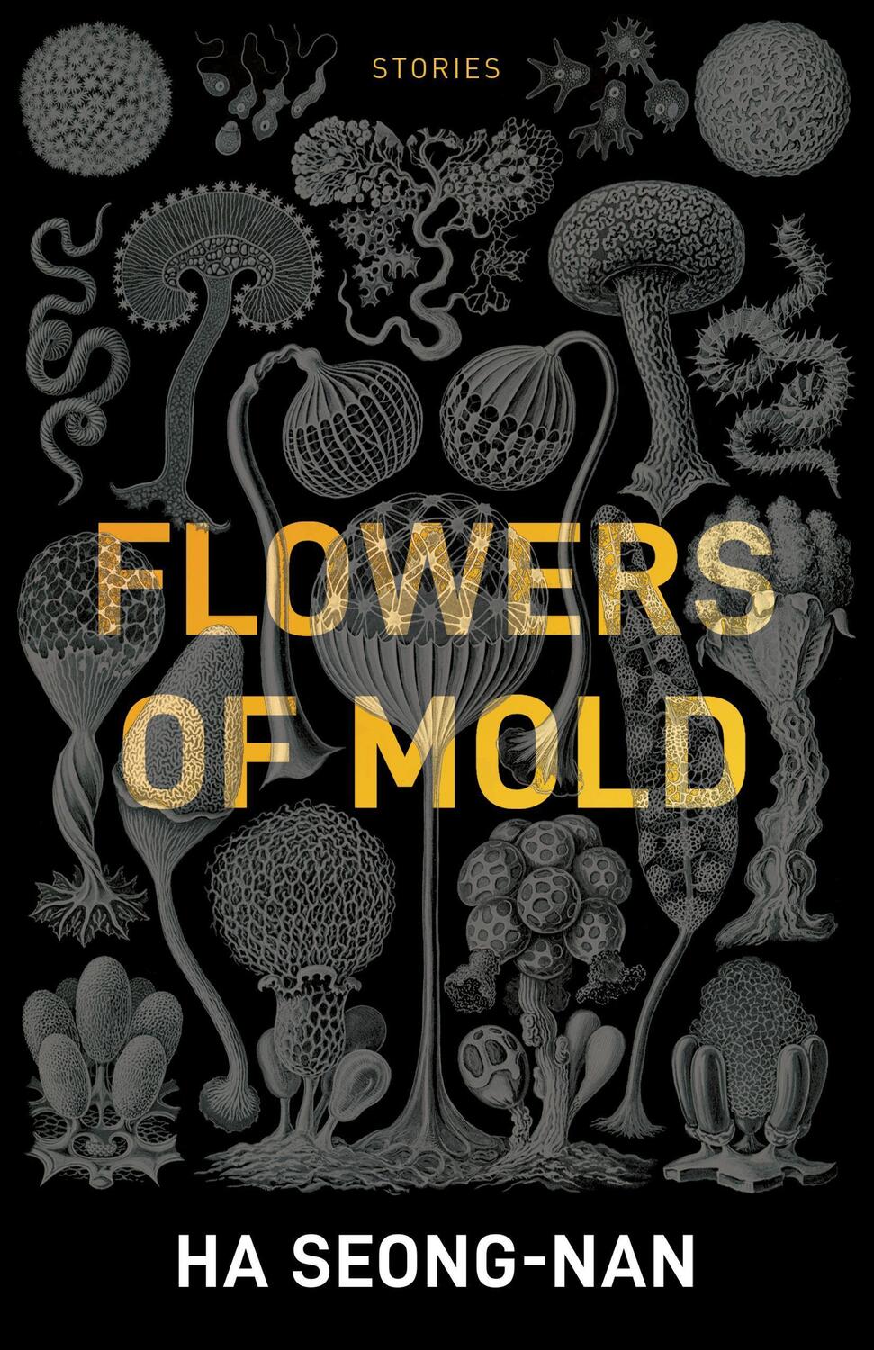 Cover: 9781940953960 | Flowers Of Mold & Other Stories | Seong-nan Ha | Taschenbuch | 2019