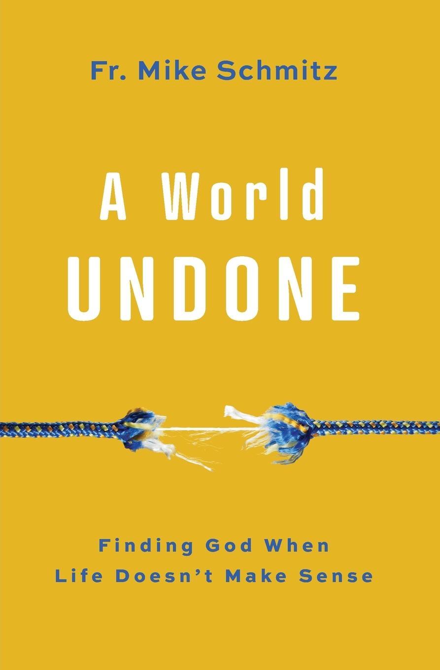 Cover: 9781593255992 | World Undone | Finding God When Life Doesn't Make Sense | Schmitz