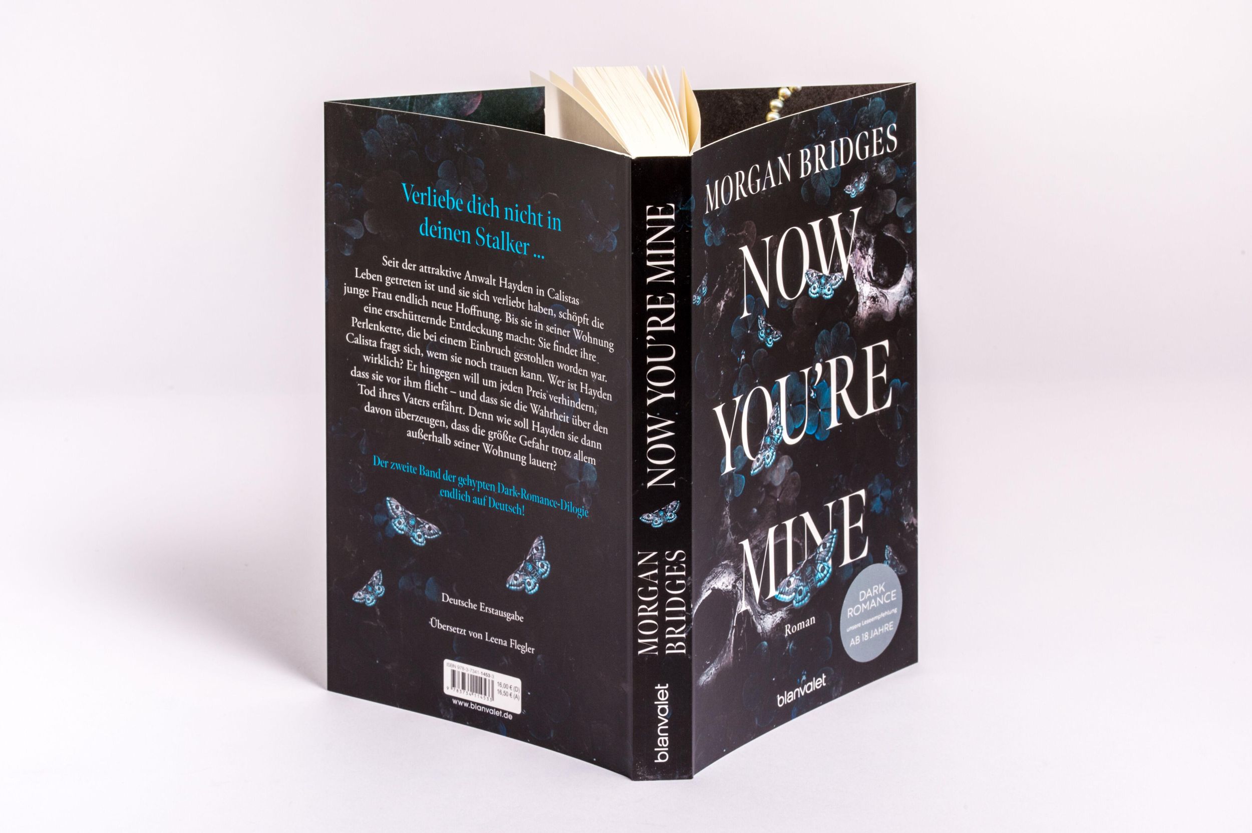 Bild: 9783734114533 | Now You're Mine | Morgan Bridges | Taschenbuch | Possessing Her | 2025