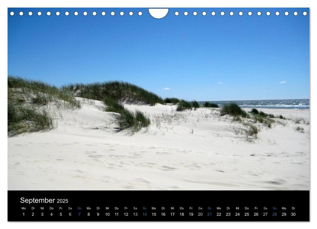 Bild: 9783435788378 | Die Insel Amrum (Wandkalender 2025 DIN A4 quer), CALVENDO...