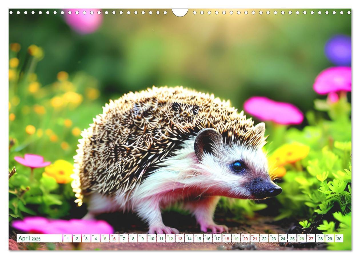 Bild: 9783383868726 | Niedliche Igel (Wandkalender 2025 DIN A3 quer), CALVENDO...