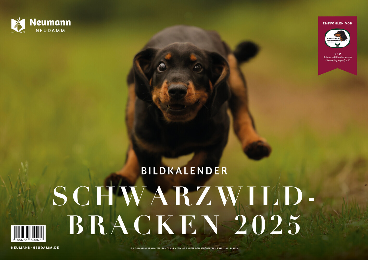 Cover: 9783788820978 | Schwarzwildbracken 2025 | Themenkalender | Kalender | 13 S. | Deutsch