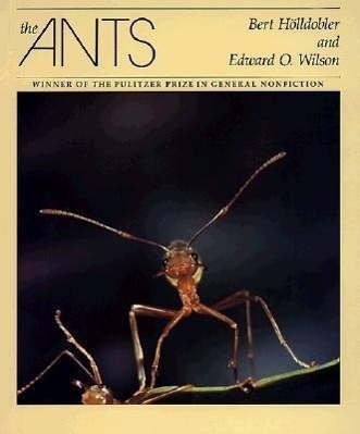 Cover: 9780674040755 | ANTS | Bert Holldobler (u. a.) | Buch | Gebunden | Englisch | 1990