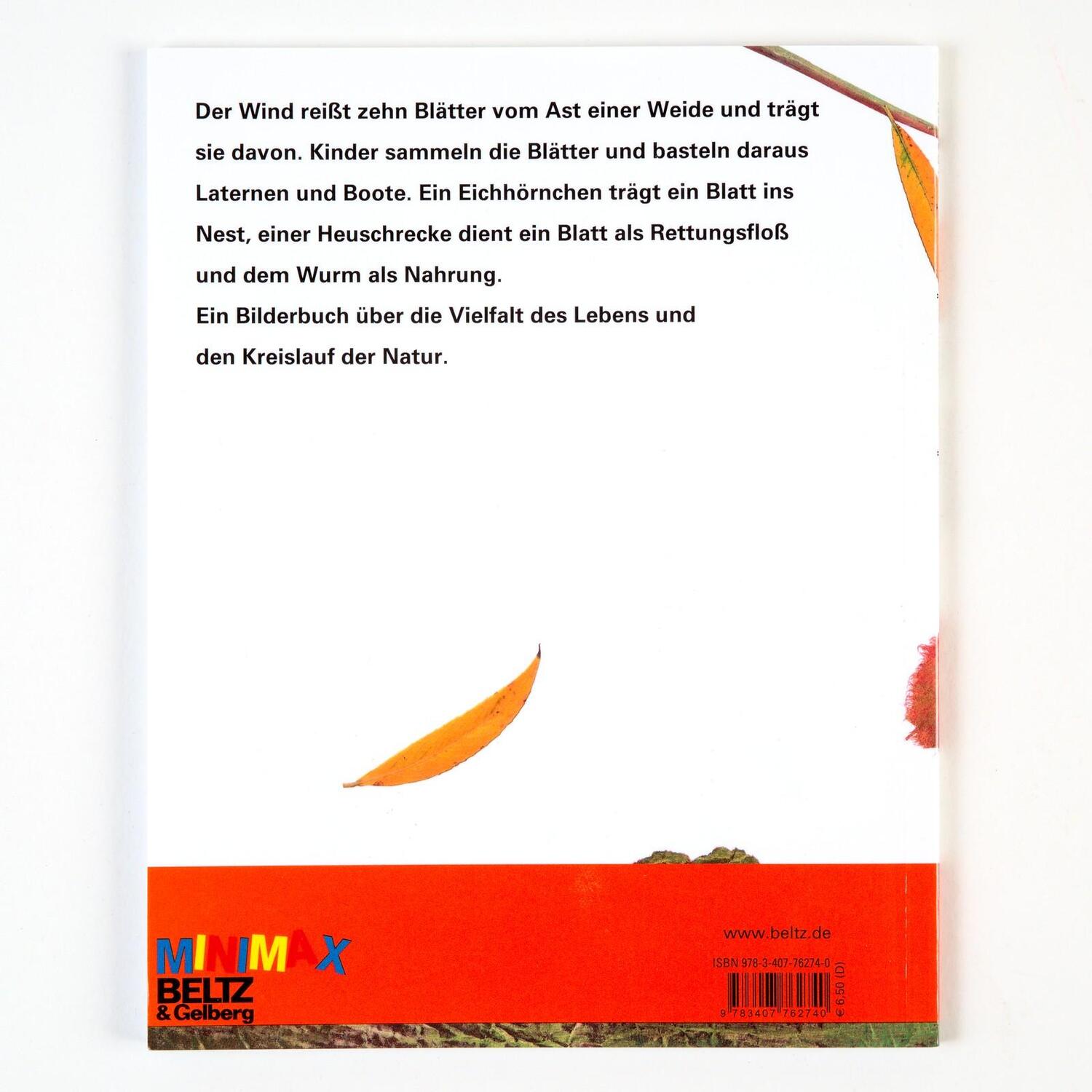 Rückseite: 9783407762740 | Zehn Blätter fliegen davon | Vierfarbiges Bilderbuch | Anne Möller