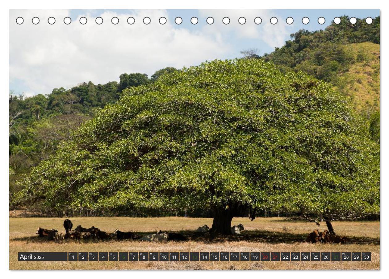 Bild: 9783435656127 | COSTA RICA - PURA VIDA (Tischkalender 2025 DIN A5 quer), CALVENDO...