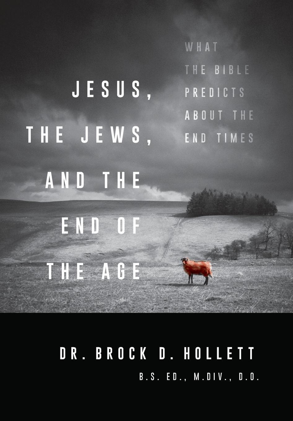 Cover: 9780988931633 | Jesus, the Jews, and the End of the Age | Brock Hollett | Buch | 2023