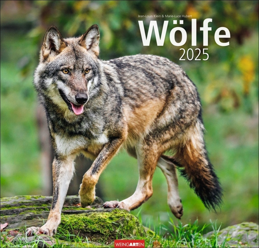 Cover: 9783839900352 | Wölfe Kalender 2025 | Marie-Luce Hubert (u. a.) | Kalender | 14 S.