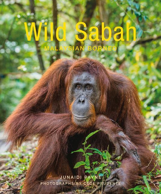 Cover: 9781912081110 | Wild Sabah (2nd edition) | Junaidi Payne | Taschenbuch | Englisch
