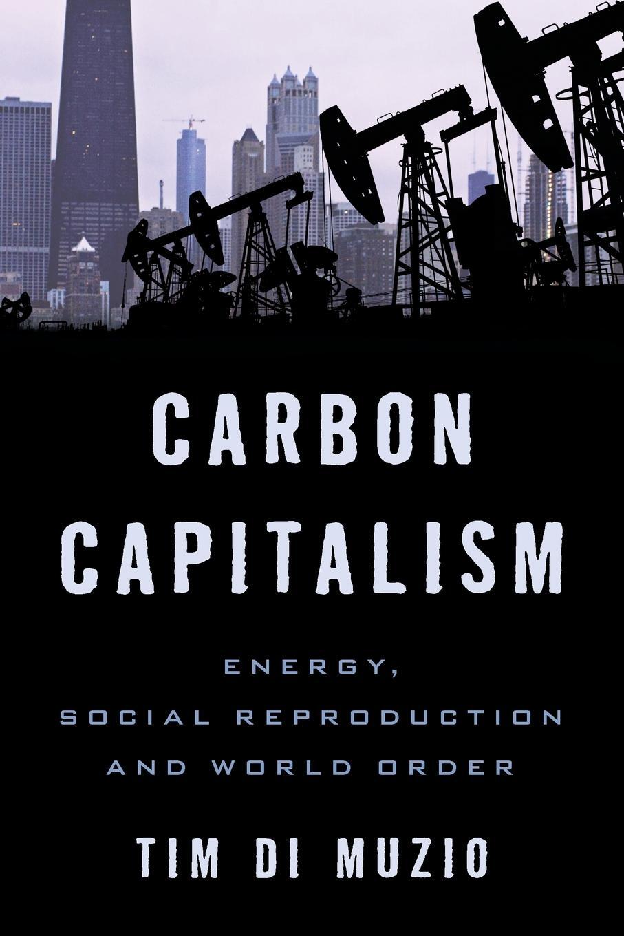 Cover: 9781783480982 | Carbon Capitalism | Energy, Social Reproduction and World Order | Buch