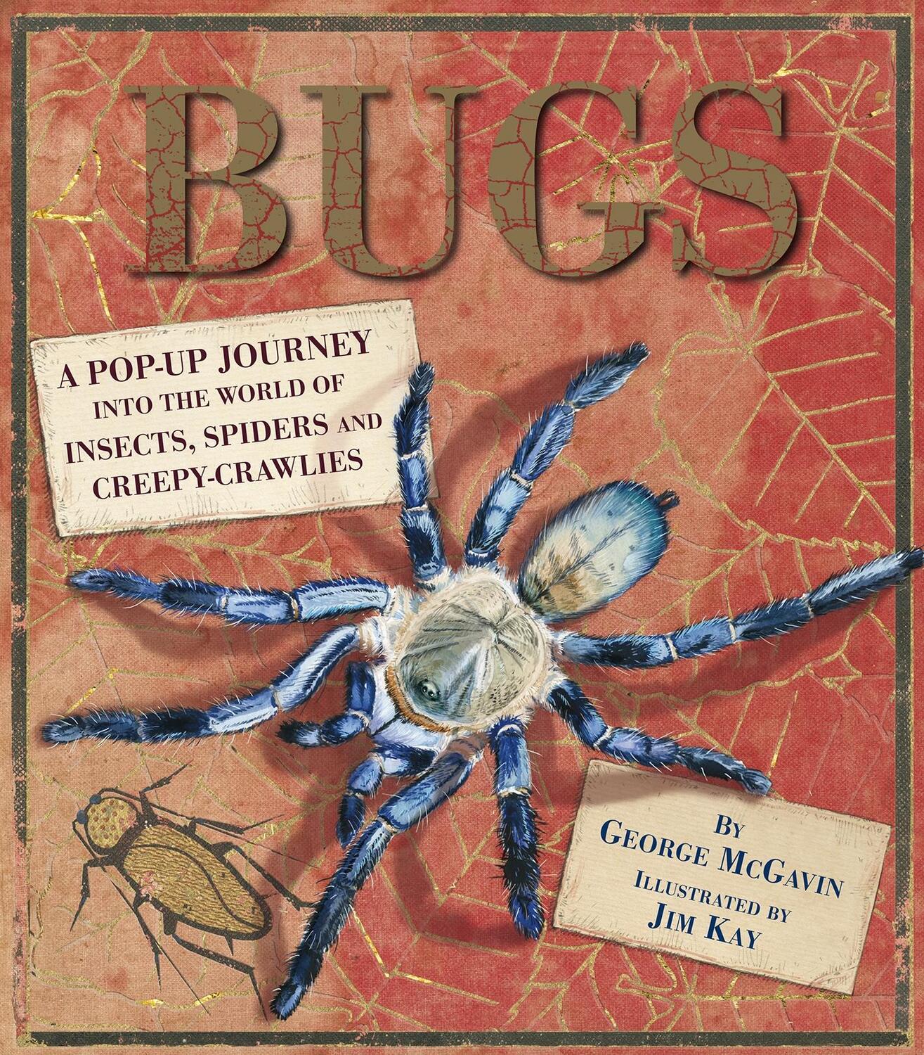 Cover: 9781406328738 | Bugs | George McGavin | Buch | Gebunden | Englisch | 2013