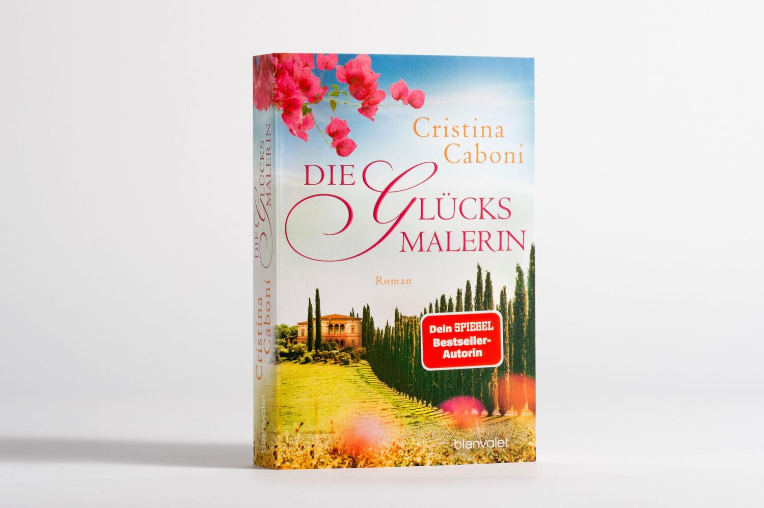 Bild: 9783734111532 | Die Glücksmalerin | Roman | Cristina Caboni | Taschenbuch | 384 S.